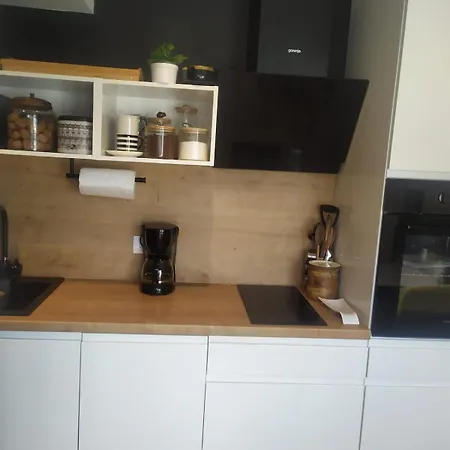 Beachside Loft Near Dubrovnik 公寓 米利尼