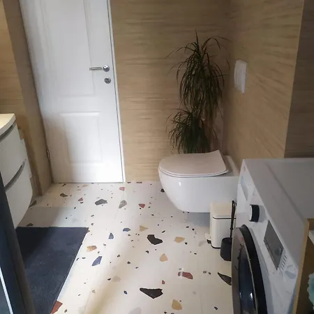 Beachside Loft Near Dubrovnik 公寓 米利尼
