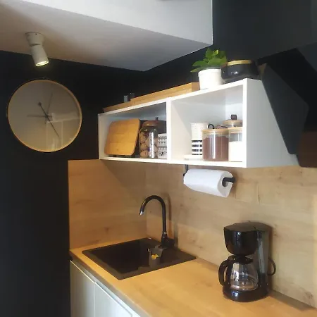 Beachside Loft Near Dubrovnik 公寓 米利尼