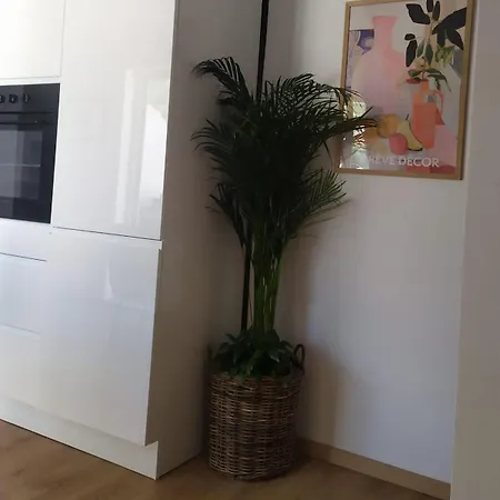 Apartment Beachside Loft Near Dubrovnik Mlini